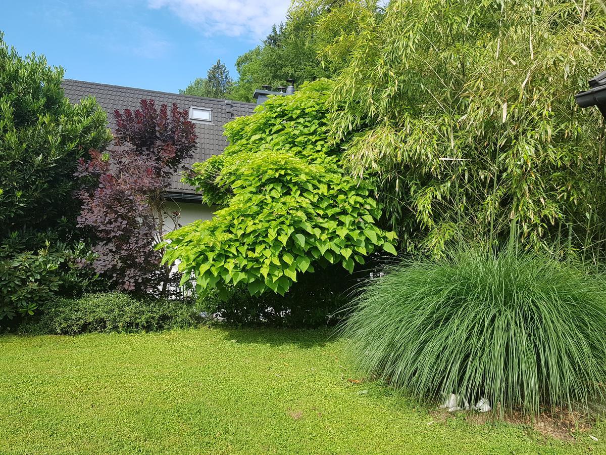 GolnikPr'Simi住宿加早餐旅馆 外观 照片