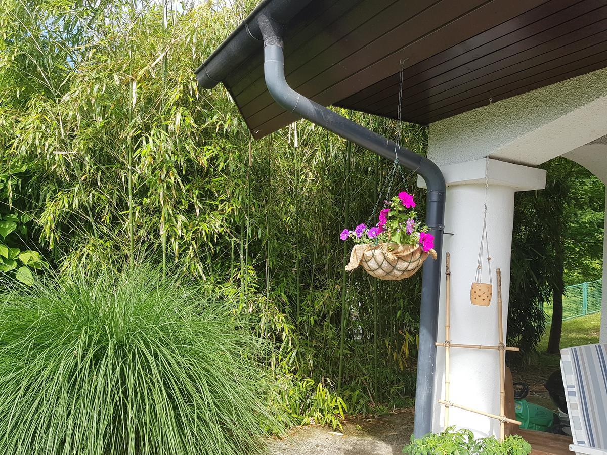 GolnikPr'Simi住宿加早餐旅馆 外观 照片
