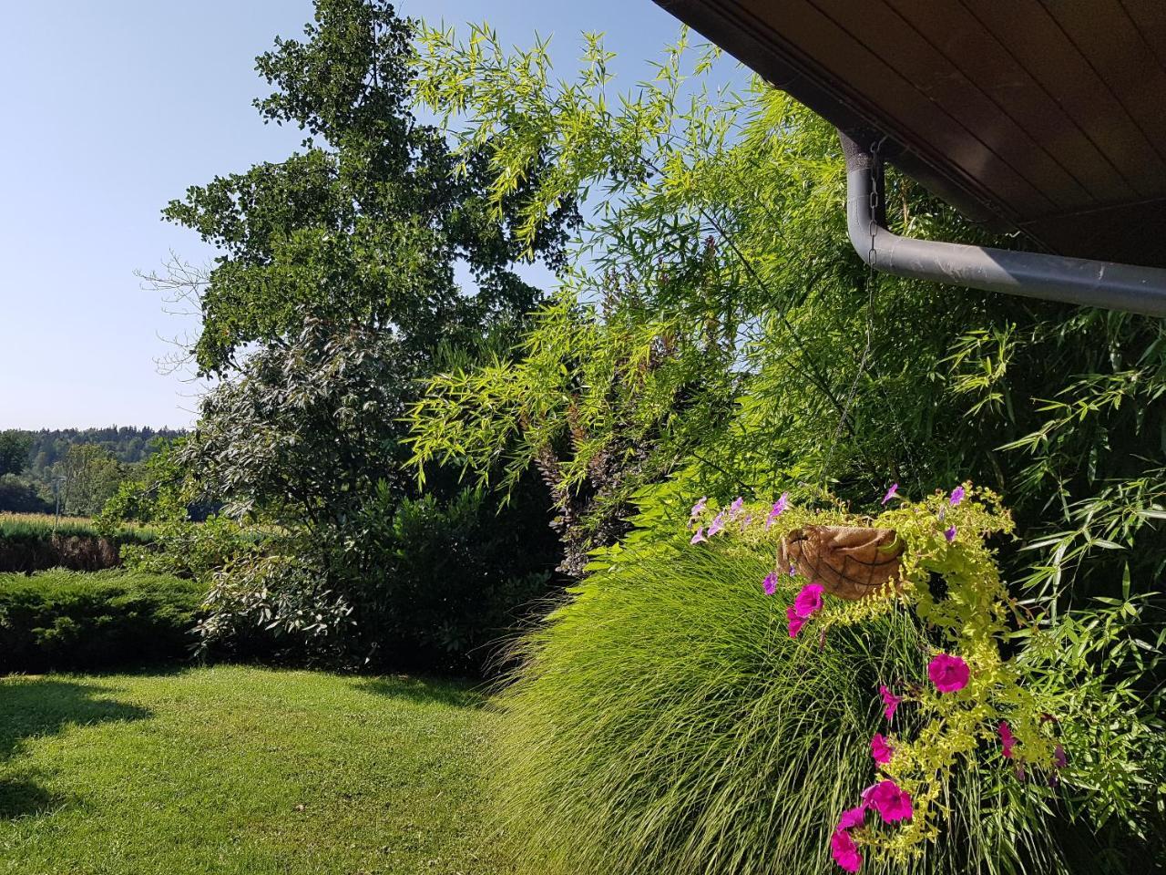 GolnikPr'Simi住宿加早餐旅馆 外观 照片